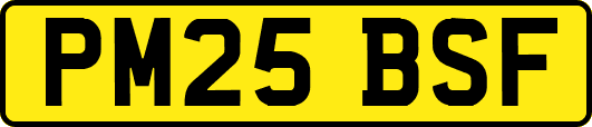 PM25BSF