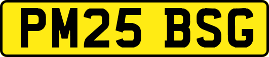 PM25BSG