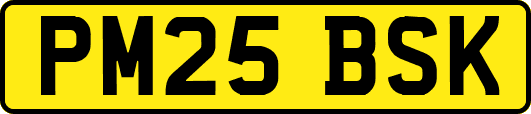 PM25BSK