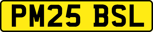PM25BSL