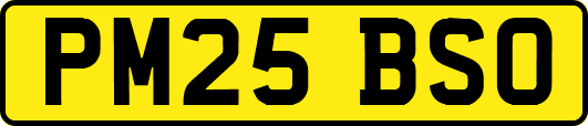 PM25BSO