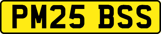 PM25BSS