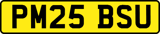 PM25BSU