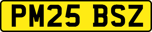 PM25BSZ