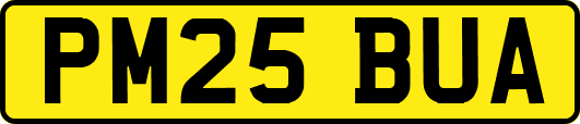 PM25BUA