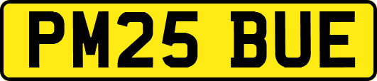 PM25BUE