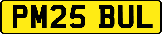 PM25BUL