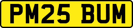 PM25BUM