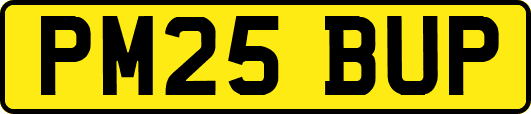 PM25BUP