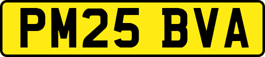 PM25BVA