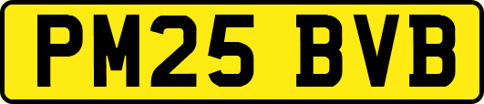 PM25BVB