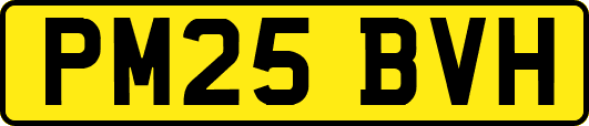 PM25BVH
