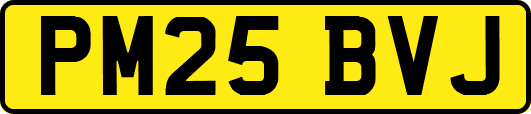 PM25BVJ