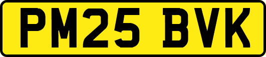 PM25BVK