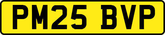 PM25BVP