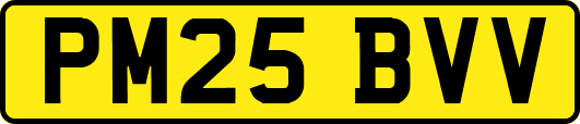 PM25BVV