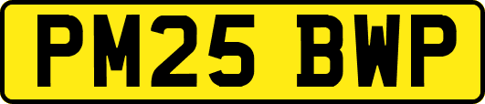 PM25BWP