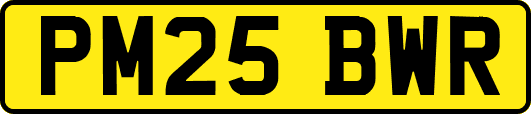 PM25BWR