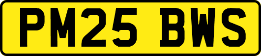 PM25BWS