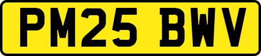 PM25BWV
