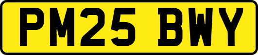 PM25BWY