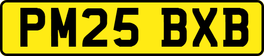 PM25BXB