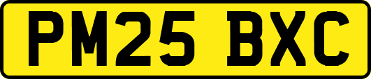PM25BXC