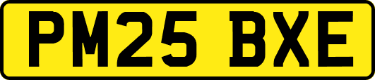 PM25BXE