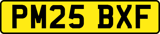 PM25BXF