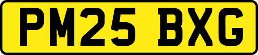 PM25BXG