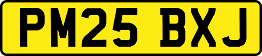 PM25BXJ