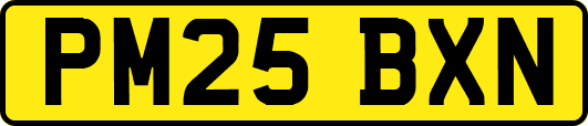 PM25BXN
