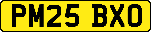 PM25BXO