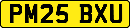 PM25BXU