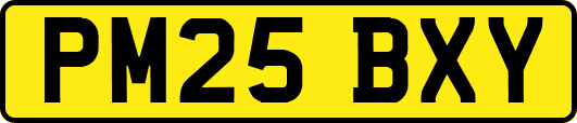PM25BXY
