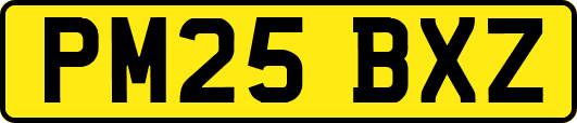 PM25BXZ