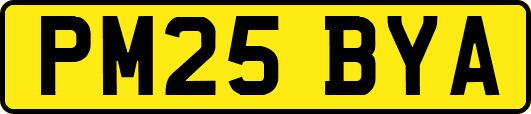 PM25BYA