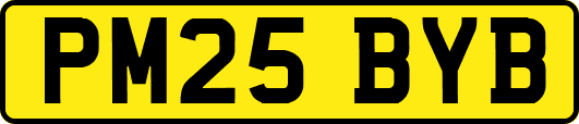 PM25BYB