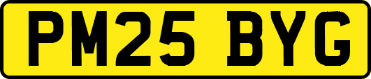 PM25BYG