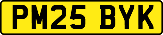 PM25BYK