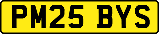PM25BYS