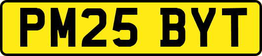 PM25BYT