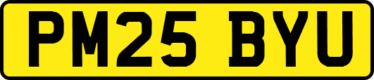PM25BYU