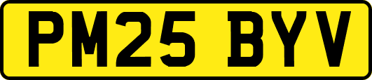 PM25BYV