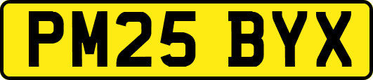 PM25BYX