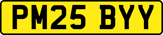 PM25BYY