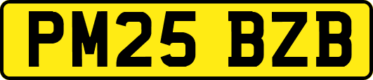 PM25BZB