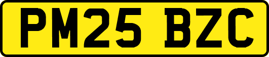 PM25BZC
