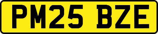PM25BZE