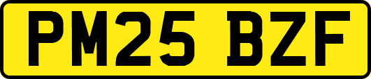 PM25BZF